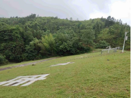 水库坡面除杂清障后 水库坡面除杂清障后